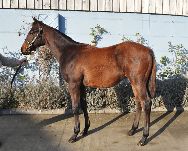lot 230